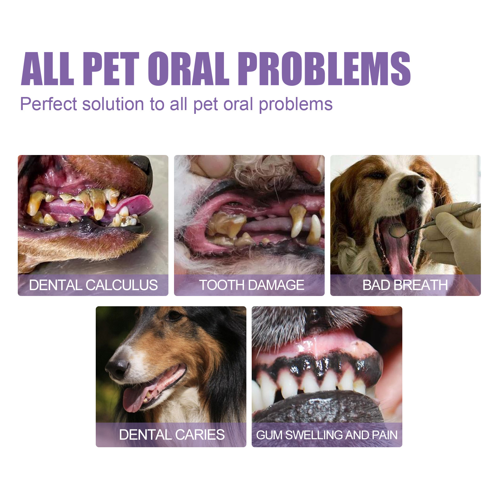 Pet Oral Repair Gel Puppy Tart - Teeth Whitening With Hydrogen Peroxide avaliação e preço