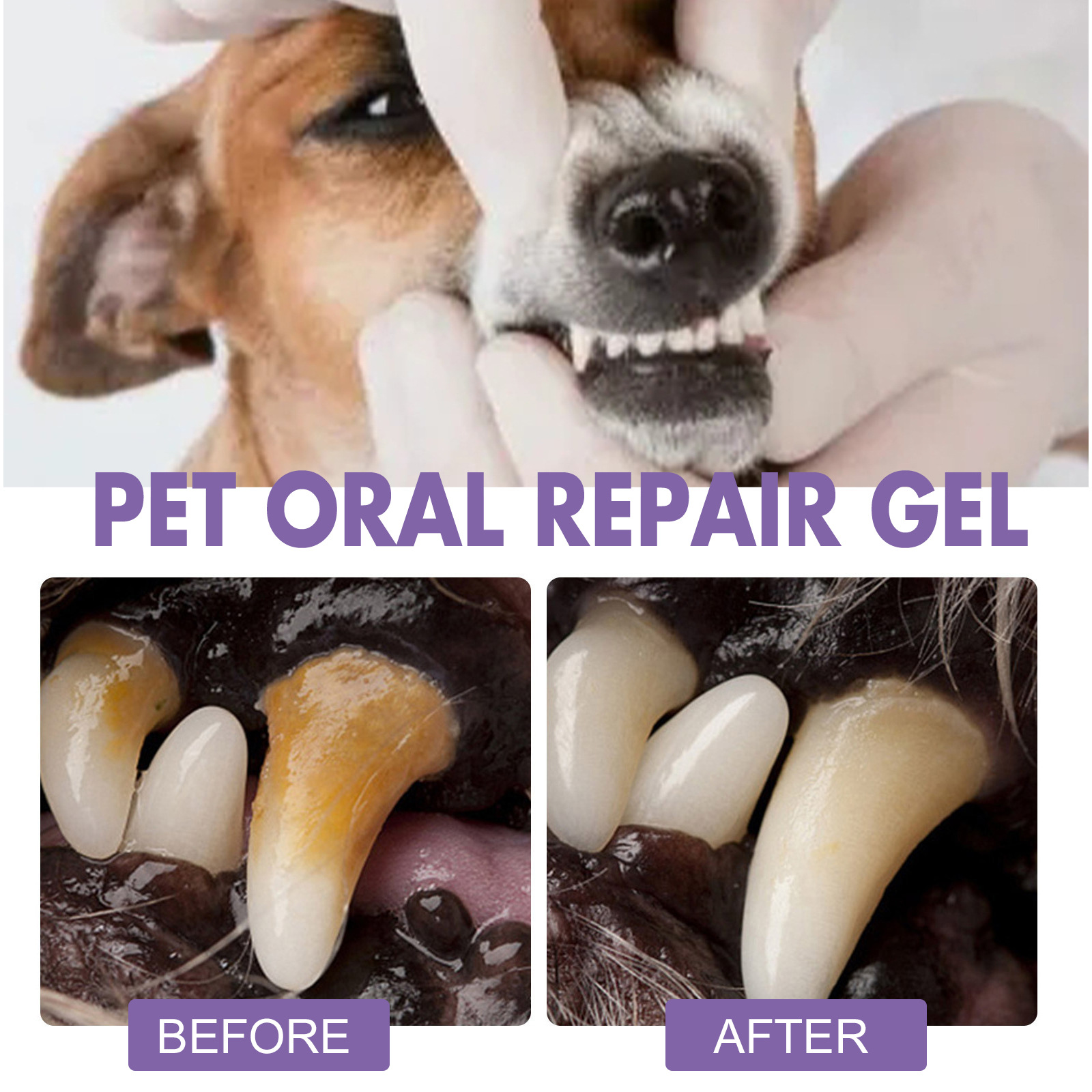 Pet Oral Repair Gel Puppy Tart - Teeth Whitening With Hydrogen Peroxide avaliação e preço