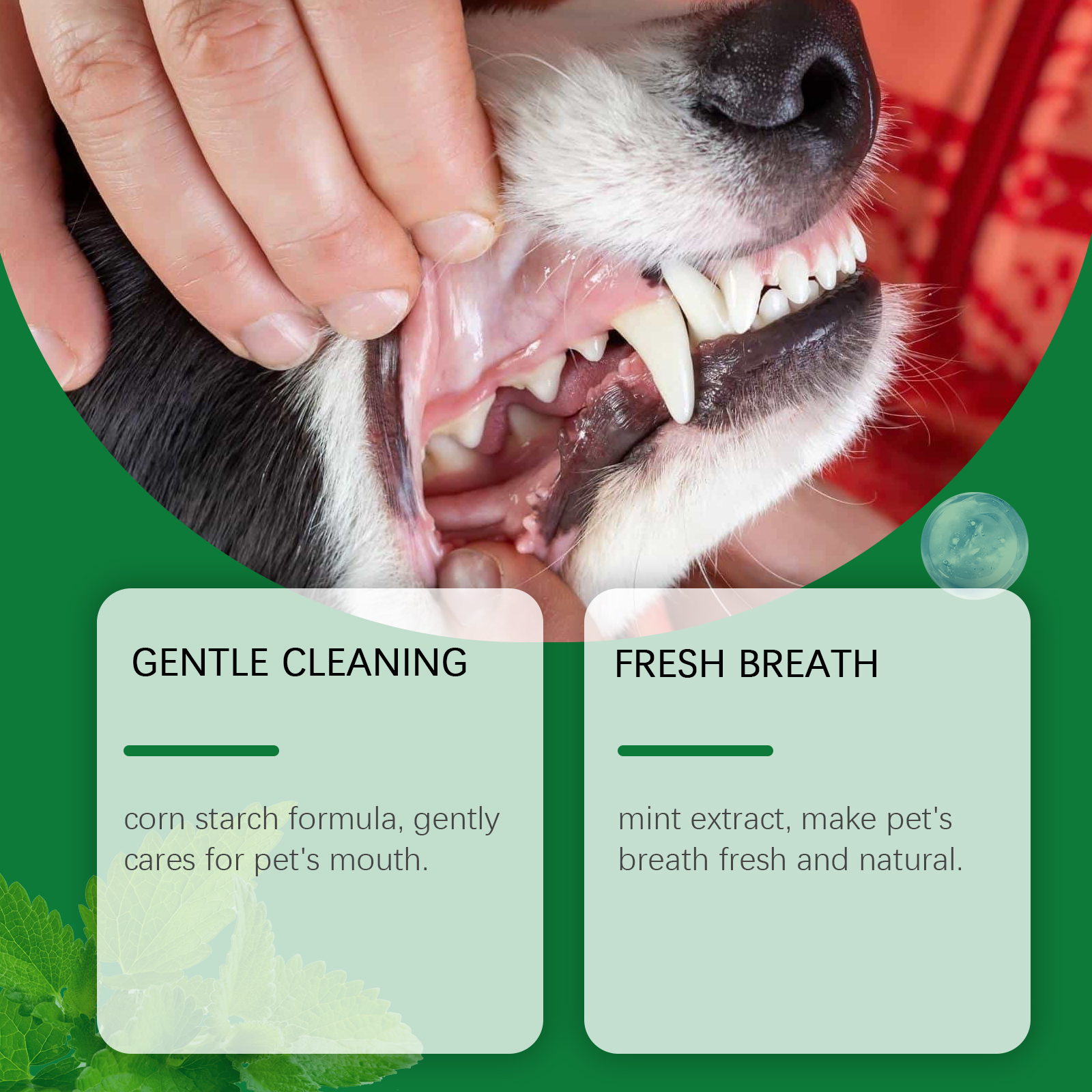 Pet Teeth Cleaning Powder Redu - Teeth Whitening Diy avaliação e preço