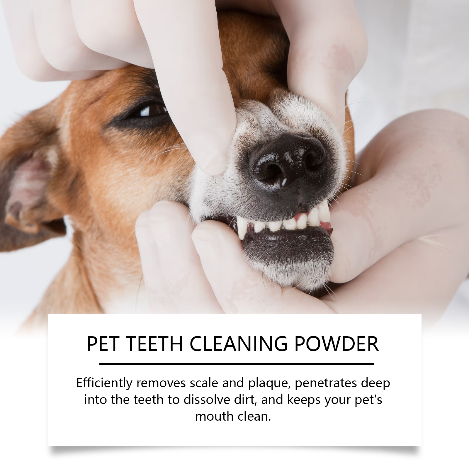 Pet Teeth Cleaning Powder Redu - Teeth Whitening Diy avaliação e preço